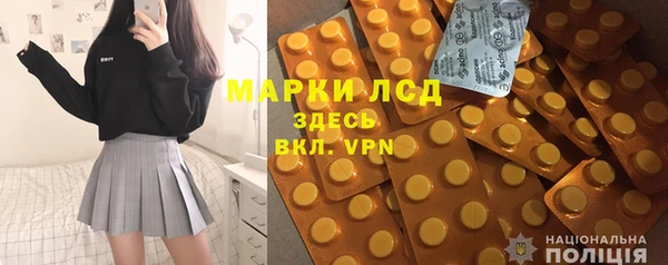 хмурый Аркадак