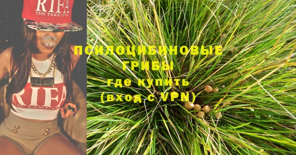 мдпв Арсеньев