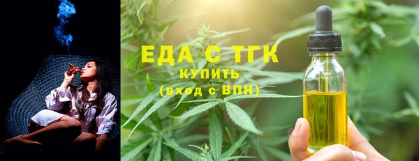 хмурый Аркадак