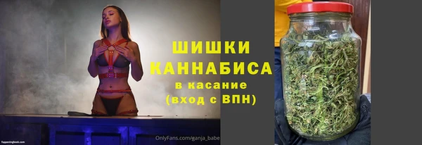хмурый Аркадак
