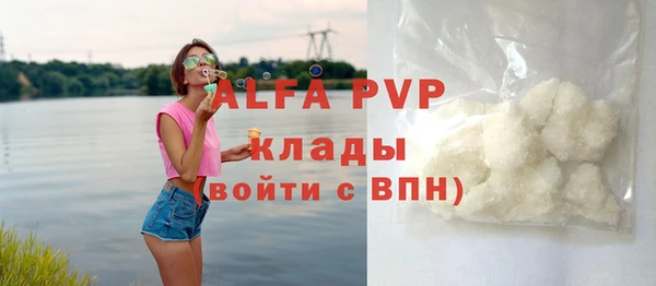 хмурый Аркадак