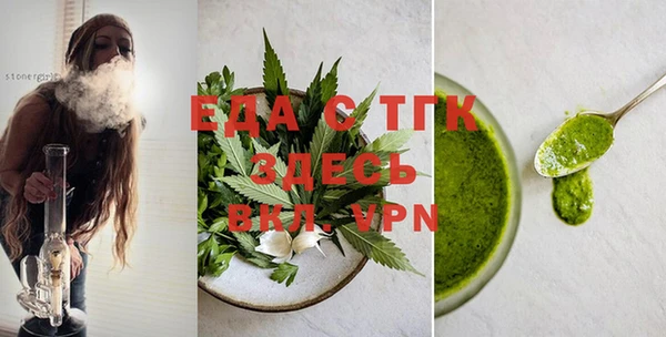 хмурый Аркадак