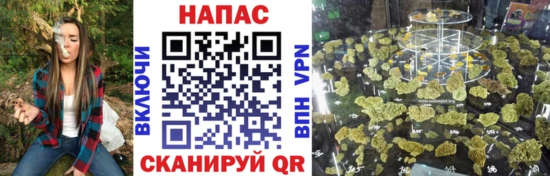 дарнет шоп  Спас-Деменск  МАРИХУАНА сатива 